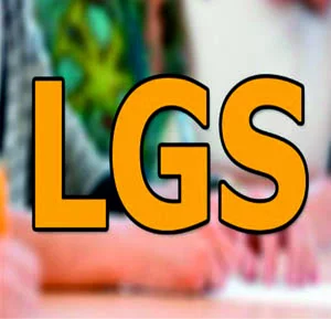 ilçemizde 145 Öğrenci LGS ile Okullara Yerleşti 