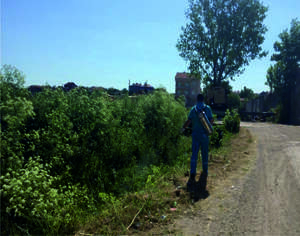 ilçemiz’de ilaçlama Çalışmaları Devam Ediyor