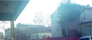 Kış Güneşi iç Isıttı