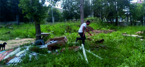 Sokak Hayvanları Bakım için Toplandı