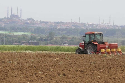 YERLİ TOHUM TOPRAKLA BULUŞTU