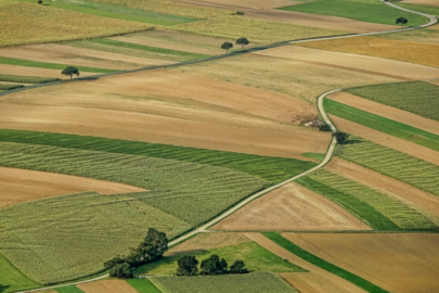 TARIM ARAZİLERİNE DENETİM