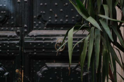 DEMİR KAPI ÇALINDI