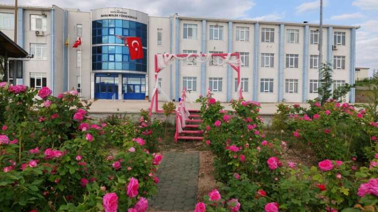 HAVSA’DA GÜL HASADI ŞENLİĞİ