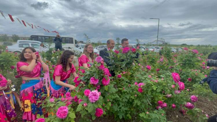 HAVSA’DA GÜL HASADI ŞENLİĞİ