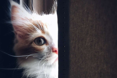 ŞİKAYET ALO 153’E