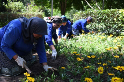 LÜTFEN ÇİÇEKLERİ KOPARMAYIN
