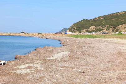 YAYLA SAHİLİ TEMİZLENİYOR