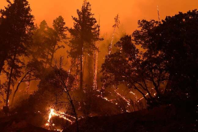 TEKİRDAĞ'DA ORMANLARDA ATEŞ YAKILMASI YASAKLANDI