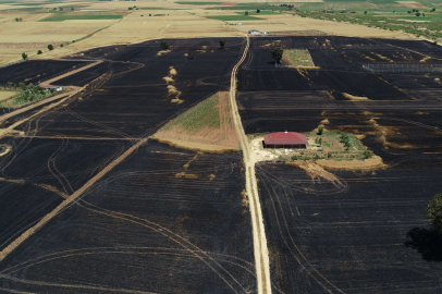 BUĞDAY TARLASINDA ÇIKAN YANGIN SÖNDÜRÜLDÜ