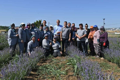 BAŞKAN UZUNLAR PAŞA TARIM VADİSİ'NDE İNCELEMELERDE BULUNDU