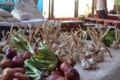 ŞİFA KAYNAĞI SARIMSAK VE SOĞAN