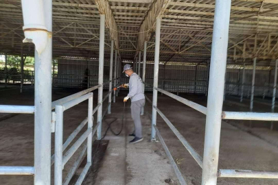 BELEDİYE HAYVAN PAZARINI İLAÇLADI