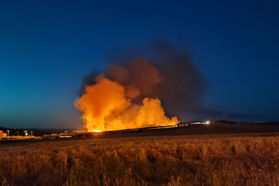 BUĞDAY EKİLİ ALAN KÜL OLDU