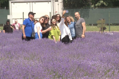 SOSYAL MEDYADAN GÖRDÜLER