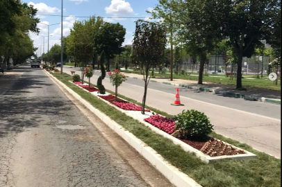 REFÜJ DÜZENLEME ÇALIŞMASI