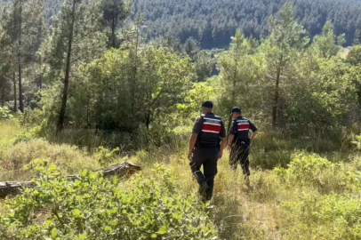 TEKİRDAĞ'DA ORMANLIK ALANLAR DENETLENDİ