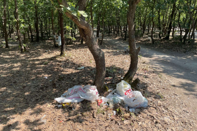 ORMANLIK ALAN YİNE ÇÖPLÜĞE DÖNDÜ