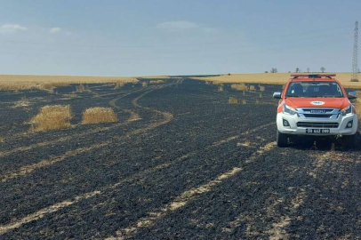 15 DÖNÜM ALAN KÜL OLDU