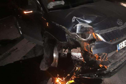 KÖPEĞE ÇARPMAMAK İÇİN BARİYERLERE ÇARPTI