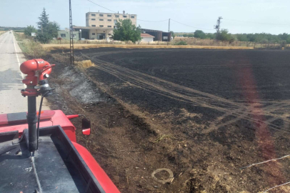 10 DÖNÜM BUĞDAY KÜL OLDU