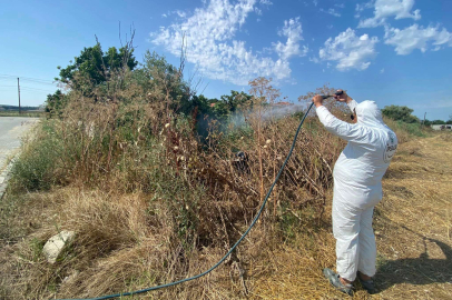 İPSALA'DA SİNEK VE LARVA İLAÇLAMASI