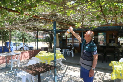 TATİLCİLER SİVRİSİNEKLERDEN DERTLİ