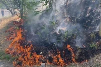 AĞAÇLIK ALANDA ÇIKAN YANGIN KORKUTTU