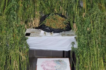 OPERASYONDA 7 ŞÜPHELİ YAKALANDI