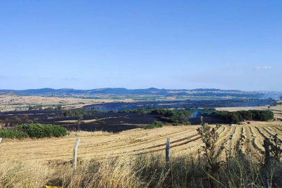 2 BİN DÖNÜME YAKIN ARAZİ KÜLE DÖNDÜ