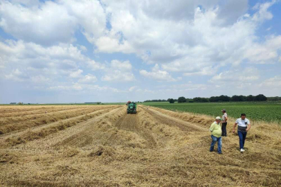 VERİM ÇİFTÇİNİN YÜZÜNÜ GÜLDÜRDÜ