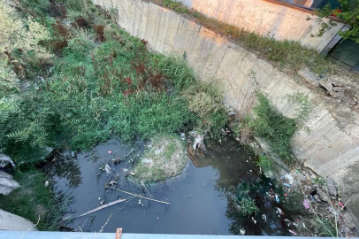 KAPAKLI’NIN GÖBEĞİNDE YILAN YUVASI