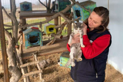 PATİLİ DOSTLAR EMİN ELLERDE