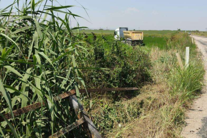 TIR ÇELTİK TARLASINA GİRDİ, ÇAMURA SAPLANDI