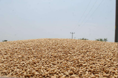 KAVURUCU SICAĞIN ALTINDA ÜRÜNLERİNİ SATMAYA ÇALIŞIYOR