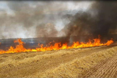 AŞIRI SICAKLAR YANGIN RİSKİNİ ARTIRIYOR