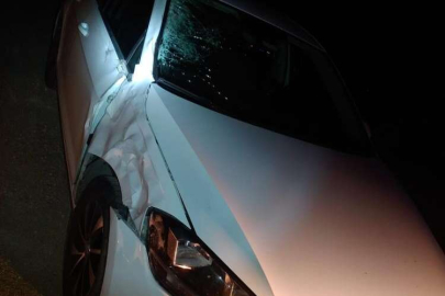 OTOMOBİLİN ÇARPTIĞI YAYA HAYATINI KAYBETTİ