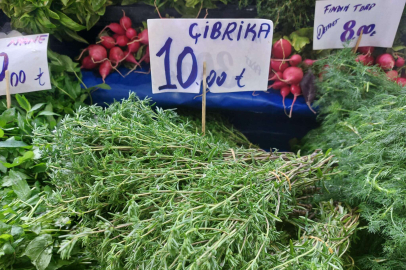 YURT DIŞINA KEKİK VE ÇİBRİKA