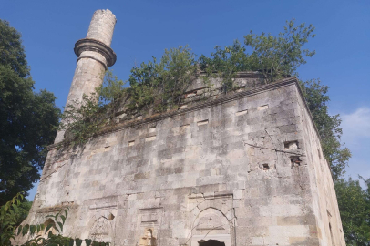 VURDUM DUYMAZLIĞA TEPKİ VAR