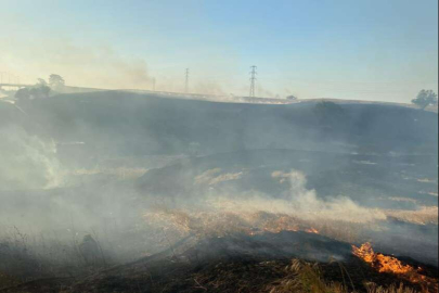 100 DÖNÜM ANIZ CAYIR CAYIR YANDI