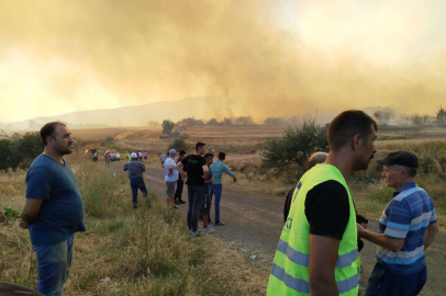 ORMAN YANGINININ SEBEBİ ORTAYA ÇIKTI