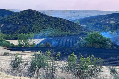 BUĞDAY EKİLİ ALAN YANDI