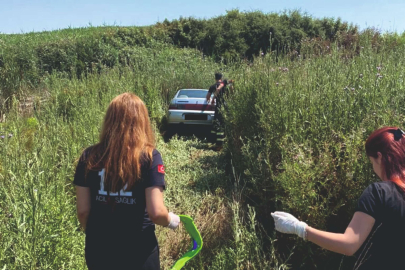 YOLDAN ÇIKIP TARLAYA GİRDİ