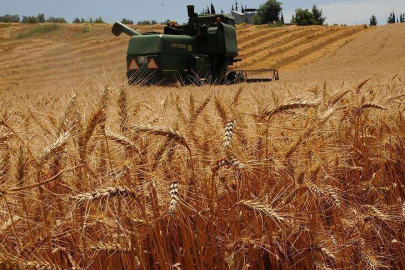 BİÇERDÖVER HASAT FİYATLARINA ZAM YAPILDI