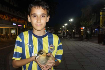 ÇOCUK İLE YAVRU ÖRDEĞİN DOSTLUĞU