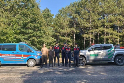 ORMANLARA SIKI KORUMA