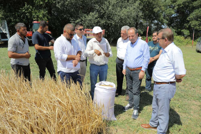 CUMHURİYET ÇİFTLİĞİNDE HARMAN ZAMANI