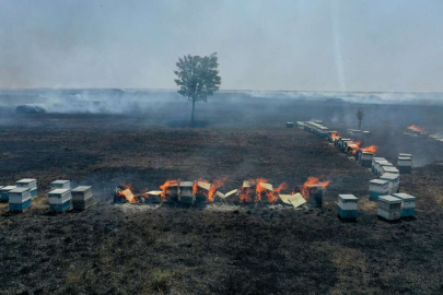 YANGINI ARICILAR SÖNDÜRDÜ