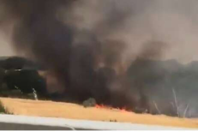 2 BİN DÖNÜM AYÇİÇEK TARLASI YANDI