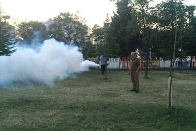 HAŞERELERLE MÜCADELE TAM GAZ